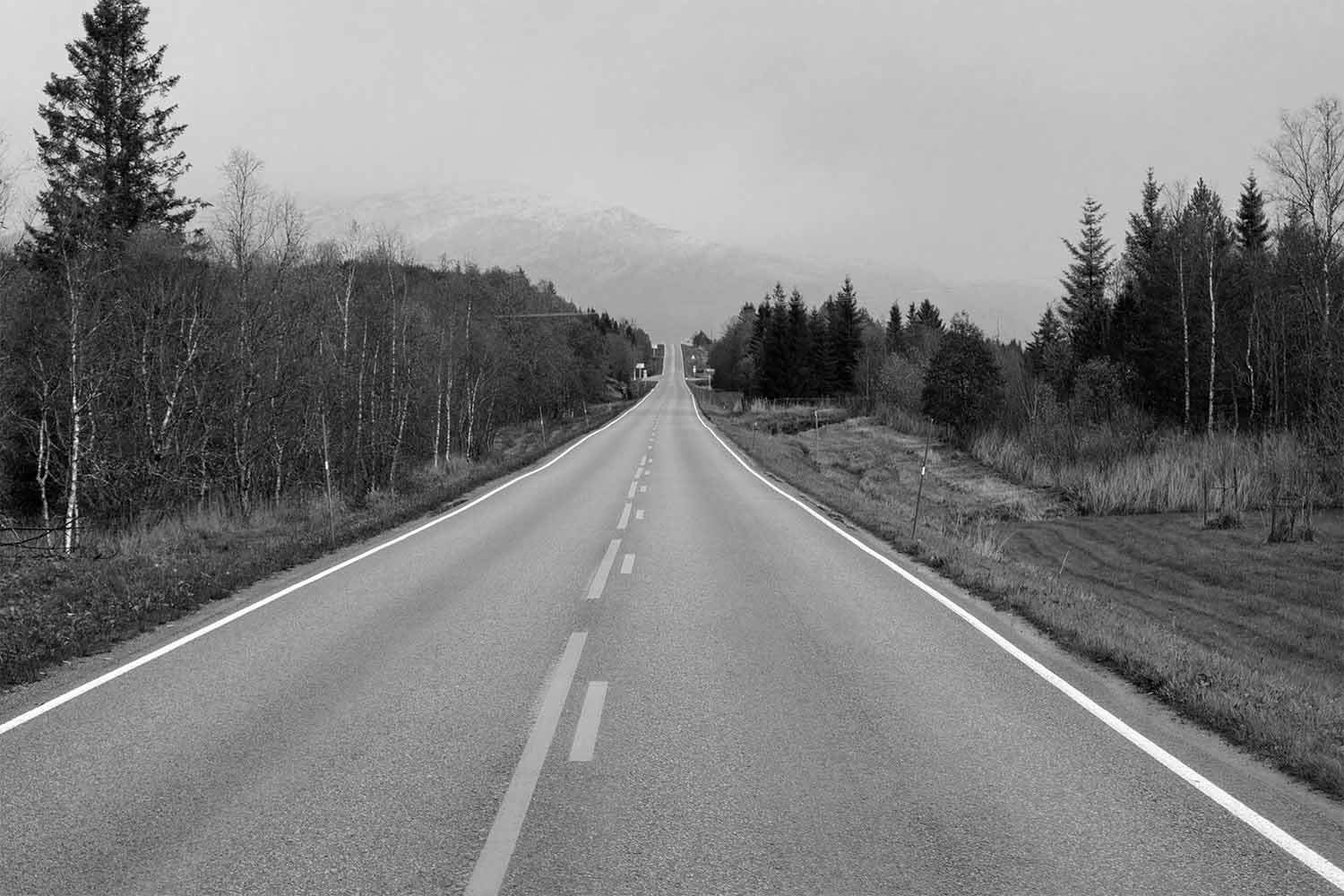 Roadbw
